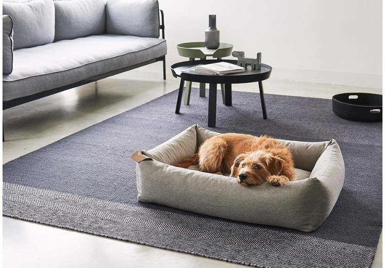 Quel couchage pour un vieux chien ?
